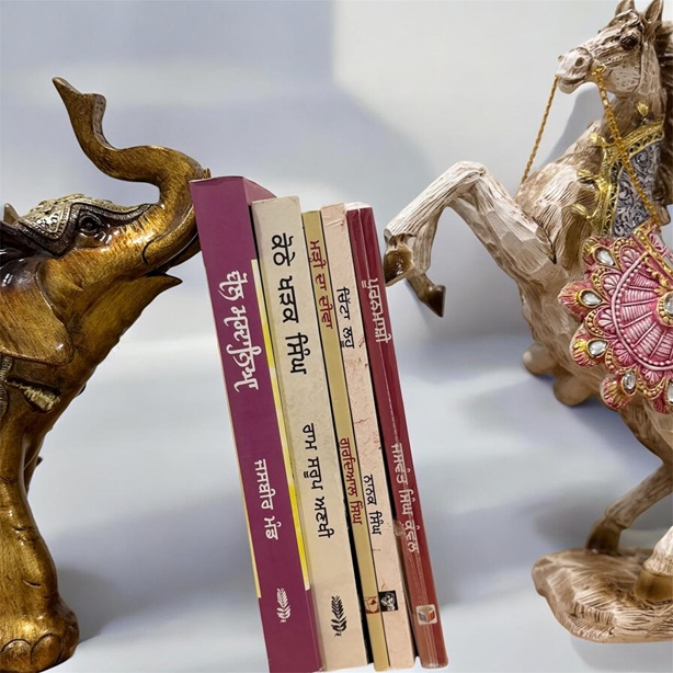 Forever Punjabi Novels for Beginners